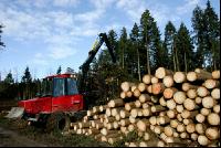 Forwarder 48