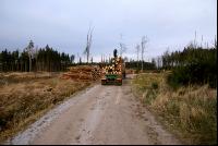 Holz auf LKW 8