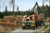 Holz auf LKW 11