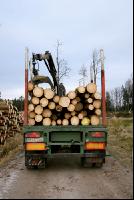 Holz auf LKW 14