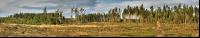 Waldschaden 4