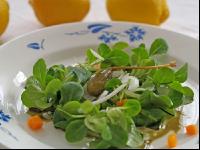 Vogerlsalat 2