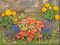 Sommerblumen