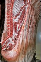 Kühlraum Schweine 6