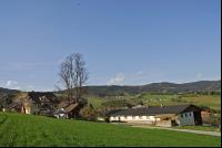 Schweinestall 10