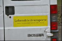 Tiertransporte 3