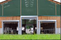 cattle barn inside 1