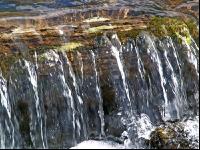 Wassergischt 1