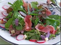 Blattsalate 1