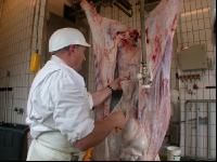 Rind schlachten 41