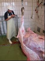 Rind schlachten 39