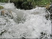Wassergischt 2