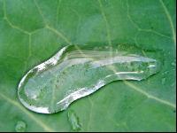 Wassertropfen 3