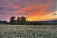 Abendrot 4