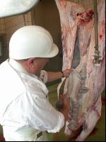 Rind schlachten 44