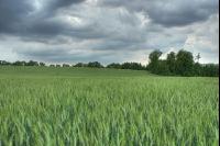 Gewitter kommt 2