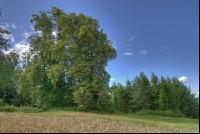 Linde 3