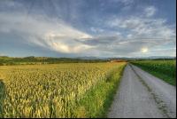 Wolken 9