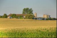 Mais  und Silo 2