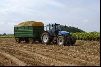SoBlumen mexen 11