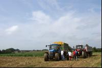 SoBlumen mexen 12