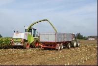 SoBlumen mexen 18