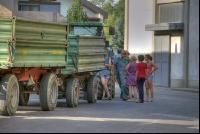 Weizen Ablieferung 49