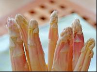 Spargel weiß 2