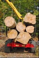 Buchen laden