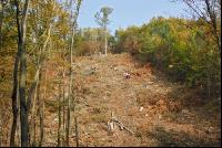 Seilanlage 7