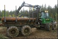 Forwarder Kiefer 1