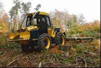 Holzbringung 4