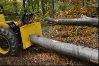 Holzbringung 3