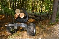 Holzbringung 1