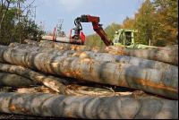 Holz laden 1