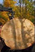 Holz laden 3