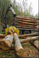 Holz laden 6