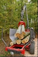 Holz laden 9