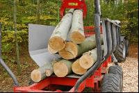 Holz laden 10
