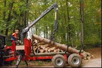 Holz laden 13