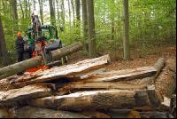 Holzspaltzange 1