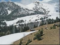 Schneemangel 1