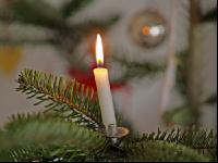 Christbaum 3