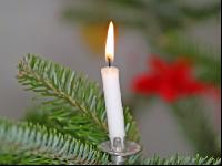 Christbaum 2