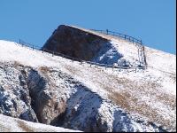 Dreifingerspitze