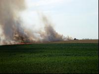Flächenbrand J 