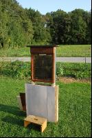 Schaubienenstand 2