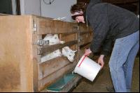 Kitze Milch 2