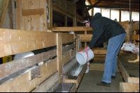 Kitze Milch 1