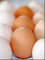 Eier 5